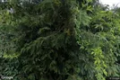 Lokaler för uthyrning, Warszawa Praga-Południe, Warsaw, &lt;span class=&quot;blurred street&quot; onclick=&quot;ProcessAdRequest(1280533)&quot;&gt;&lt;span class=&quot;hint&quot;&gt;Se gatunamn&lt;/span&gt;[xxxxxxxxxx]&lt;/span&gt;