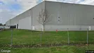 Företagslokal för uthyrning, Willebroek, Antwerp (Province), Victor Dumonlaan 31, Belgien