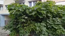 Kontor til leie, Vänersborg, Västra Götaland County, &lt;span class=&quot;blurred street&quot; onclick=&quot;ProcessAdRequest(2565613)&quot;&gt;&lt;span class=&quot;hint&quot;&gt;Se gatenavn&lt;/span&gt;[xxxxxxxxxx]&lt;/span&gt;