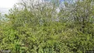 Fastighet till salu, Paisley - Renfrewshire, Paisley (Region), &lt;span class=&quot;blurred street&quot; onclick=&quot;ProcessAdRequest(2728497)&quot;&gt;&lt;span class=&quot;hint&quot;&gt;Se gatunamn&lt;/span&gt;[xxxxxxxxxx]&lt;/span&gt;