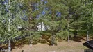 Industrifastighet till salu, Loimaa, Egentliga Finland, &lt;span class=&quot;blurred street&quot; onclick=&quot;ProcessAdRequest(2845667)&quot;&gt;&lt;span class=&quot;hint&quot;&gt;Se gatunamn&lt;/span&gt;[xxxxxxxxxx]&lt;/span&gt;
