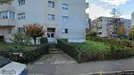 Kommersielle eiendommer til leie, Cluj-Napoca, Nord-Vest, &lt;span class=&quot;blurred street&quot; onclick=&quot;ProcessAdRequest(2893363)&quot;&gt;&lt;span class=&quot;hint&quot;&gt;Se gatenavn&lt;/span&gt;[xxxxxxxxxx]&lt;/span&gt;