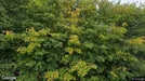 Erhvervsejendom til salg, Namsos, Trøndelag, &lt;span class=&quot;blurred street&quot; onclick=&quot;ProcessAdRequest(2925776)&quot;&gt;&lt;span class=&quot;hint&quot;&gt;Se vej-navn&lt;/span&gt;[xxxxxxxxxx]&lt;/span&gt;