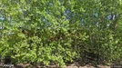 Lager til leie, Falun, Dalarna, &lt;span class=&quot;blurred street&quot; onclick=&quot;ProcessAdRequest(2990432)&quot;&gt;&lt;span class=&quot;hint&quot;&gt;Se gatenavn&lt;/span&gt;[xxxxxxxxxx]&lt;/span&gt;