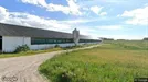 Lager zur Miete, Skævinge, North Zealand, &lt;span class=&quot;blurred street&quot; onclick=&quot;ProcessAdRequest(2998317)&quot;&gt;&lt;span class=&quot;hint&quot;&gt;Siehe Straßennamen&lt;/span&gt;[xxxxxxxxxxxxxxxxx]&lt;/span&gt;