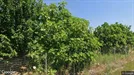 Commercial property for sale, Katerini, Central Macedonia, &lt;span class=&quot;blurred street&quot; onclick=&quot;ProcessAdRequest(3113163)&quot;&gt;&lt;span class=&quot;hint&quot;&gt;See streetname&lt;/span&gt;[xxxxxxxxxxxxx]&lt;/span&gt;