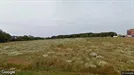 Bedrijfspand te huur, Vejle, Vejle (region), Lysholt Allé 3