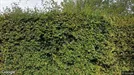 Lager til leje, Årslev, Fyn, &lt;span class=&quot;blurred street&quot; onclick=&quot;ProcessAdRequest(3195887)&quot;&gt;&lt;span class=&quot;hint&quot;&gt;Se vej-navn&lt;/span&gt;[xxxxxxxxxx]&lt;/span&gt;