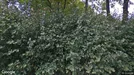 Kommersielle eiendommer til leie, Vantaa, Uusimaa, &lt;span class=&quot;blurred street&quot; onclick=&quot;ProcessAdRequest(3227213)&quot;&gt;&lt;span class=&quot;hint&quot;&gt;Se gatenavn&lt;/span&gt;[xxxxxxxxxx]&lt;/span&gt;