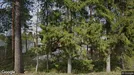 Büroimmobilie zum Kauf, Storuman, Västerbotten County, &lt;span class=&quot;blurred street&quot; onclick=&quot;ProcessAdRequest(3230292)&quot;&gt;&lt;span class=&quot;hint&quot;&gt;Siehe Straßennamen&lt;/span&gt;[xxxxxxxxxxxxxxxxx]&lt;/span&gt;