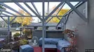 Kommersielle eiendommer til leie, Varsova Żoliborz, Warsaw, &lt;span class=&quot;blurred street&quot; onclick=&quot;ProcessAdRequest(3251992)&quot;&gt;&lt;span class=&quot;hint&quot;&gt;Se gatenavn&lt;/span&gt;[xxxxxxxxxx]&lt;/span&gt;