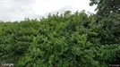 Erhvervslokaler til leje, Cuijk, North Brabant, &lt;span class=&quot;blurred street&quot; onclick=&quot;ProcessAdRequest(3289853)&quot;&gt;&lt;span class=&quot;hint&quot;&gt;Se vej-navn&lt;/span&gt;[xxxxxxxxxx]&lt;/span&gt;