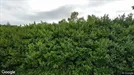 Przestrzeń komercyjna Do wynajęcia, Cuijk, North Brabant, Schuttersweg 11
