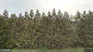 Kontor til leje, Fredrikstad, Østfold, Gunnelandet 9