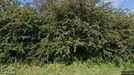 Produksjonseiendom til salgs, Genk, Limburg, &lt;span class=&quot;blurred street&quot; onclick=&quot;ProcessAdRequest(3304568)&quot;&gt;&lt;span class=&quot;hint&quot;&gt;Se gatenavn&lt;/span&gt;[xxxxxxxxxx]&lt;/span&gt;