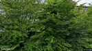 Büro zur Miete, Bochum, Nordrhein-Westfalen, Wasserstraße 217