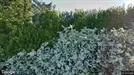 Erhvervsejendom til salg, Nørager, Region Nordjylland, &lt;span class=&quot;blurred street&quot; onclick=&quot;ProcessAdRequest(3332989)&quot;&gt;&lt;span class=&quot;hint&quot;&gt;Se vej-navn&lt;/span&gt;[xxxxxxxxxx]&lt;/span&gt;