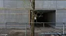 Erhvervsejendom til salg, Gorinchem, South Holland, &lt;span class=&quot;blurred street&quot; onclick=&quot;ProcessAdRequest(3396524)&quot;&gt;&lt;span class=&quot;hint&quot;&gt;Se vej-navn&lt;/span&gt;[xxxxxxxxxx]&lt;/span&gt;