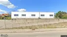 Lager til leje, Nykøbing Sjælland, Region Sjælland, &lt;span class=&quot;blurred street&quot; onclick=&quot;ProcessAdRequest(3467405)&quot;&gt;&lt;span class=&quot;hint&quot;&gt;Se vej-navn&lt;/span&gt;[xxxxxxxxxx]&lt;/span&gt;