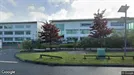 Werkstatt zur Miete, Dublin 12, Dublin, Unit C, Westland Business Park, Park West, Dublin 12