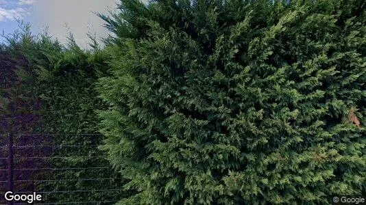 Lokaler til leje i Midden-Delfland - Foto fra Google Street View