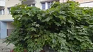 Büro zur Miete, Vänersborg, Västra Götaland County, <span class="blurred street" onclick="ProcessAdRequest(3849742)"><span class="hint">Siehe Straßennamen</span>[xxxxxxxxxxxxxxxxx]</span>