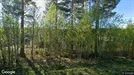 Commercial space for rent, Klæbu, Trøndelag, Brøttemsvegen 815