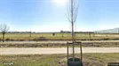 Commercial property for sale, Overbetuwe, Gelderland, Rietgraaf 14b