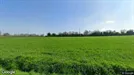 Commercial space for rent, Bucharest - Sectorul 4, Bucharest, Route du Chêne Chauveau 4012
