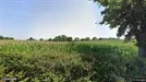 Gewerbeimmobilien zur Miete, Gherla, Nord-Vest, Route de Mortagne 2194