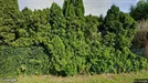 Gewerbeimmobilie zum Kauf, Beerse, Antwerpen (Provincie), Lilsedijk 18