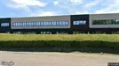 Office space for rent, Schelle, Antwerp (Province), Brandekensweg 9