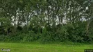 Erhvervslokaler til leje, Zaanstad, North Holland, Ringweg 271
