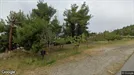 Erhvervslokaler til leje, Sithonia, Central Macedonia, Νέος Μαρμαράς 25