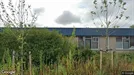 Gewerbeimmobilien zur Miete, Enschede, Overijssel, Slijpsteen 5