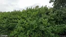 Lokaler för uthyrning, Cuijk, North Brabant, Schuttersweg 11
