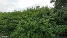 Erhvervslokaler til leje, Cuijk, North Brabant, Schuttersweg 11