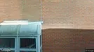 Commercial property for sale, Haarlemmermeer, North Holland, Kruisweg 636