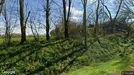 Bedrijfspand te huur, Apahida, Nord-Vest, Le Gué au Lay 4