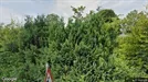 Commercial property for sale, Bække, Region of Southern Denmark, Skolegade 9