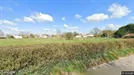 Erhvervslokaler til leje, Baciu, Nord-Vest, Rue du Tigre 5
