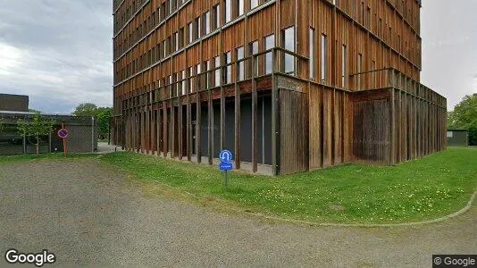 Büros zur Miete i Geel – Foto von Google Street View