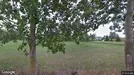 Kontoreiendom til salgs, Gdański, Pomorskie, Górna 18