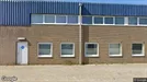 Liiketila Vuokrattavana, Terneuzen, Zeeland, Meestoof 2