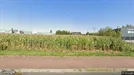 Kontor för uthyrning, Będziński, Śląskie, Gdańska 23