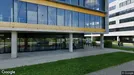 Liiketila Vuokrattavana, Małopolskie, Czerwone Maki 81c