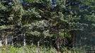 Industrilokal för uthyrning, Asker, Akershus, Underlandsveien 96