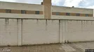 Erhvervslokaler til leje, Córdoba, Andalucía, Ctra. Palma del Río Km 3