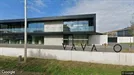 Gewerbeimmobilien zur Miete, Lokeren, Oost-Vlaanderen, Waaslandlaan 14