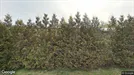 Lager til leje, Fredrikstad, Østfold, Gunnelandet 9
